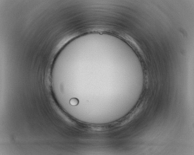 X0000115650794200911101115