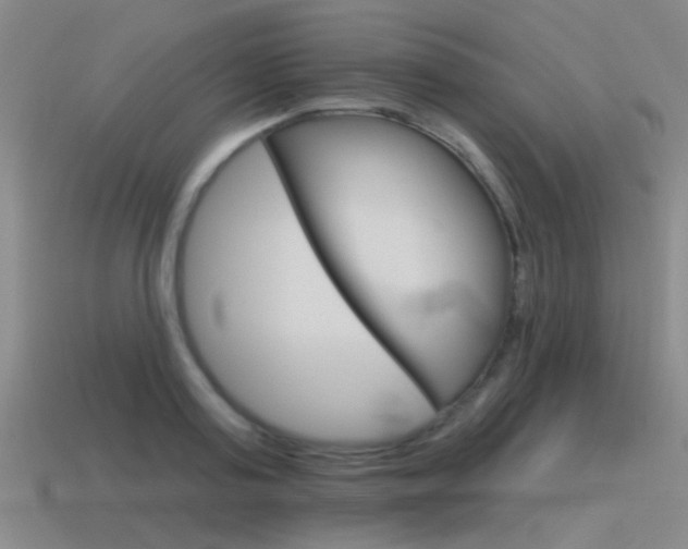 X0000115650795200911101115
