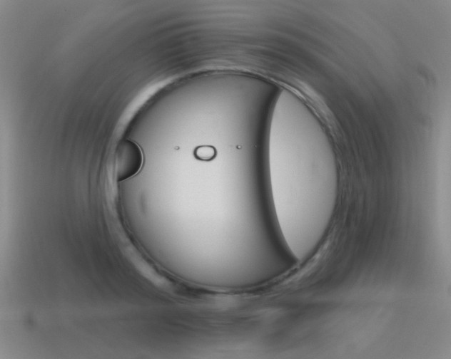 X0000115650796200911101115