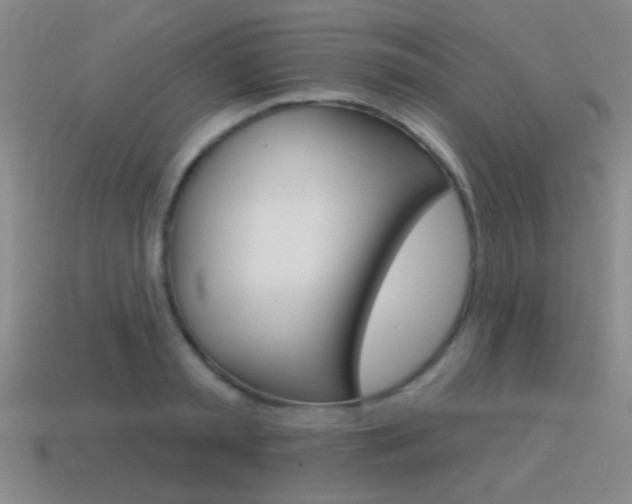 X0000115650797200911101115