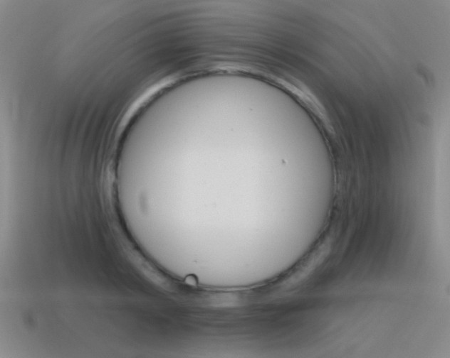 X0000115650798200911101115