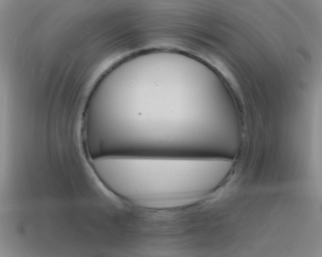 X0000115650799200911101115