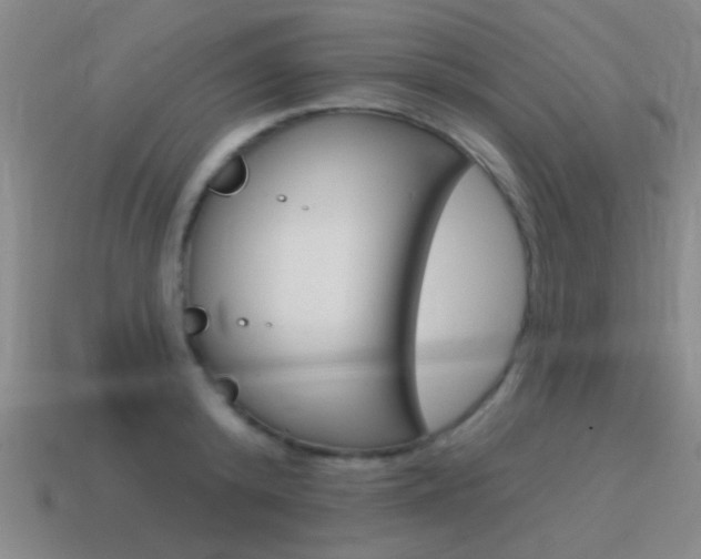 X0000115650800200911101115