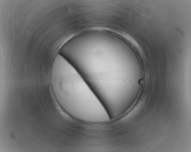 X0000115650801200911101115