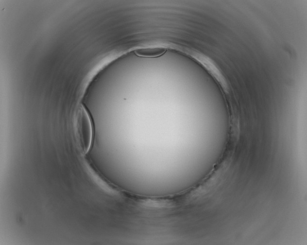 X0000115650805200911101115