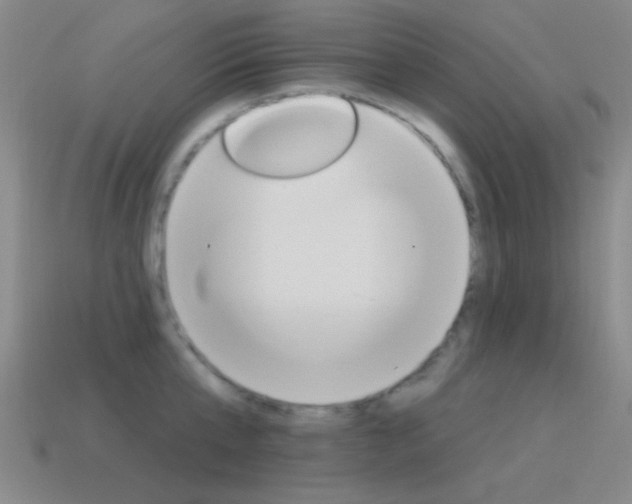 X0000115650807200911101115