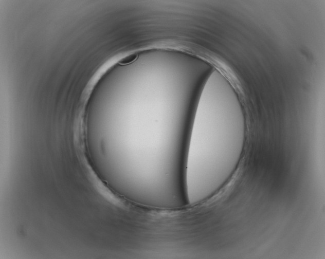 X0000115650808200911101115