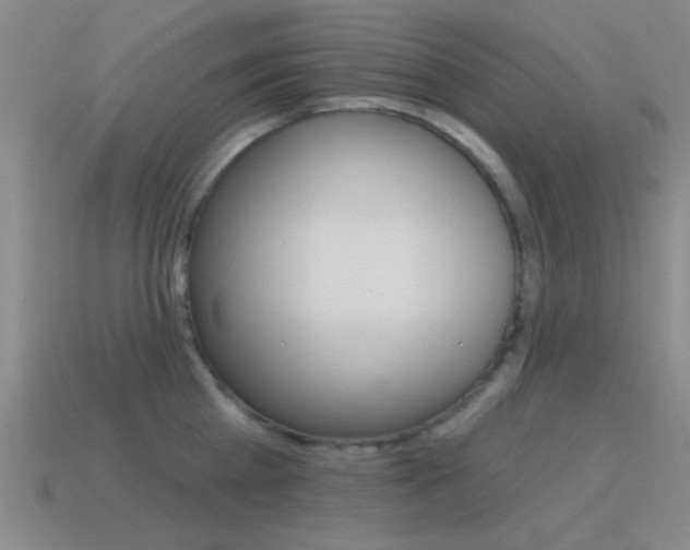 X0000115650809200911101115