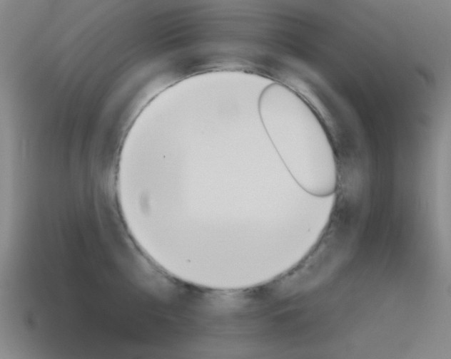 X0000115650810200911101115