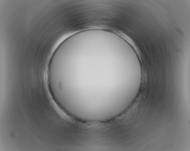 X0000115650811200911101115