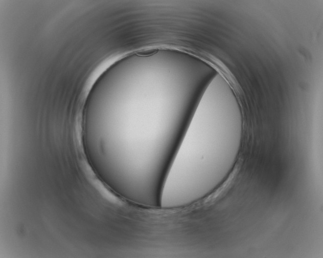 X0000115650812200911101115