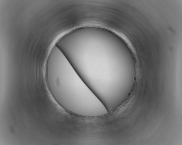 X0000115650815200911101115