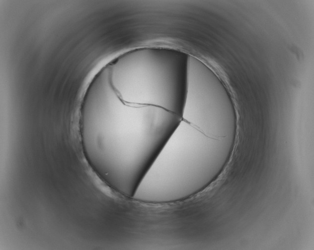 X0000115650816200911101115