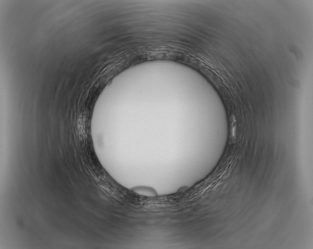 X0000115650819200911101114