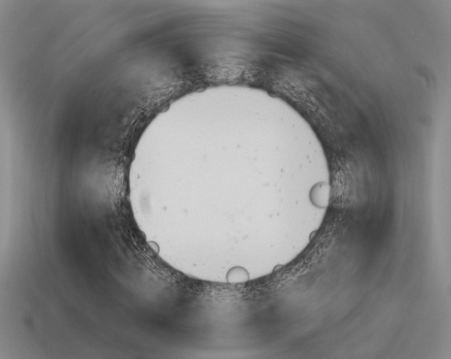 X0000115650820200911101114
