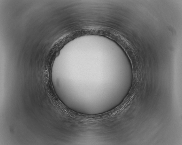 X0000115650821200911101114
