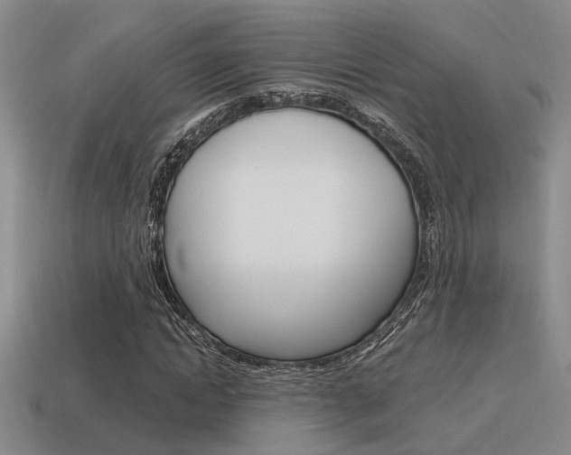 X0000115650822200911101114