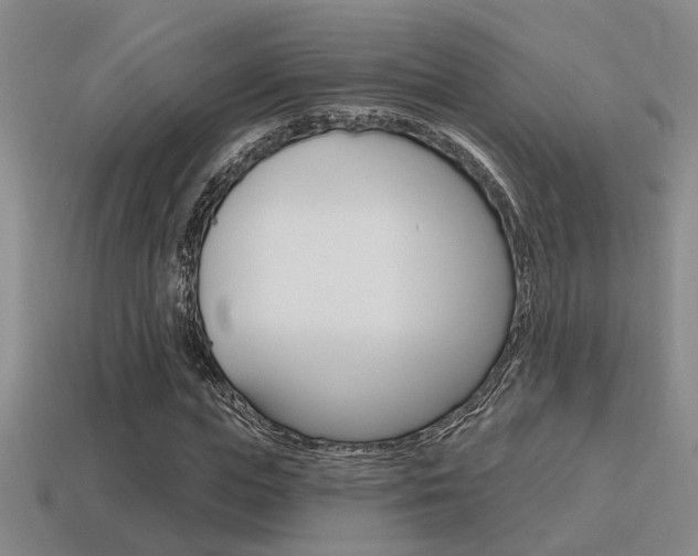 X0000115650823200911101114