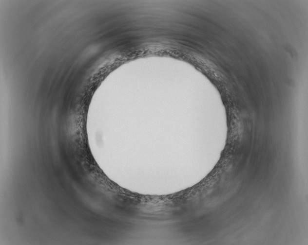 X0000115650824200911101114