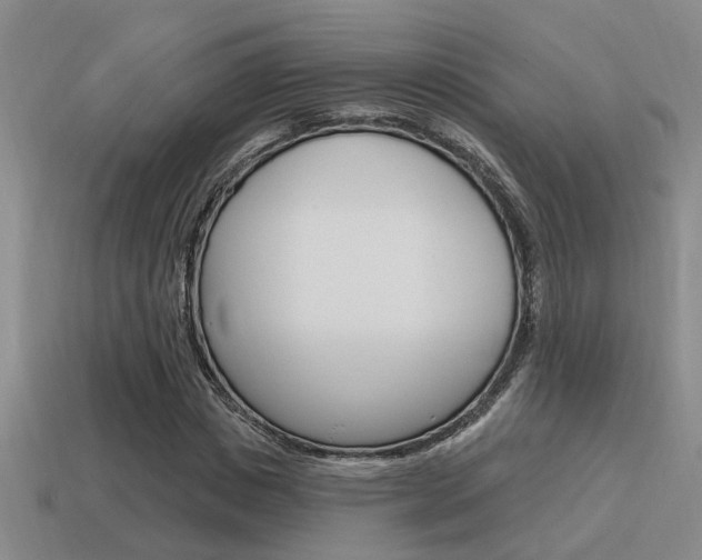 X0000115650825200911101114