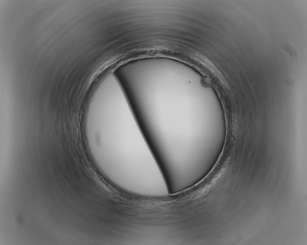 X0000115650826200911101114