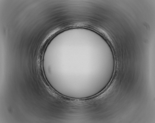 X0000115650827200911101114