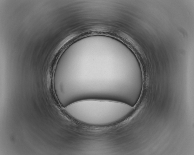 X0000115650829200911101114