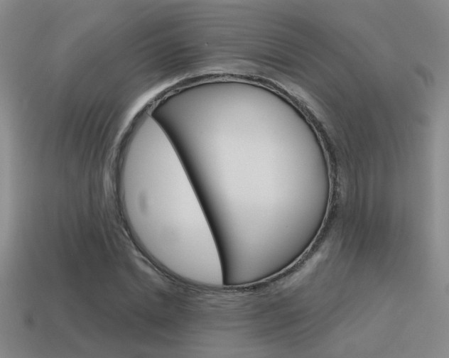 X0000115650830200911101114