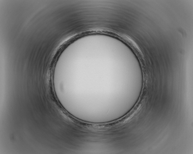 X0000115650831200911101114