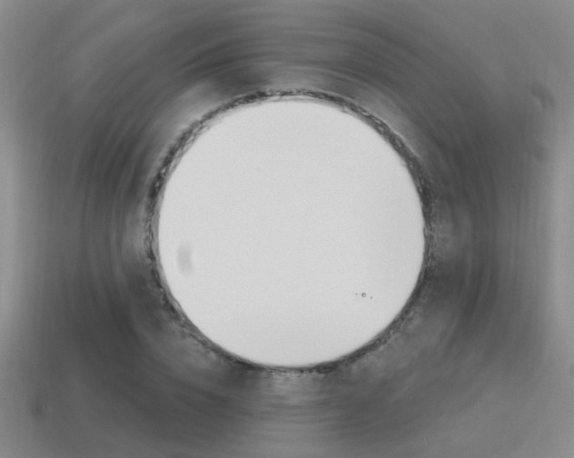 X0000115650832200911101115