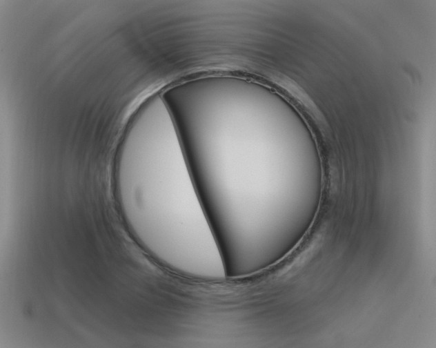 X0000115650834200911101115