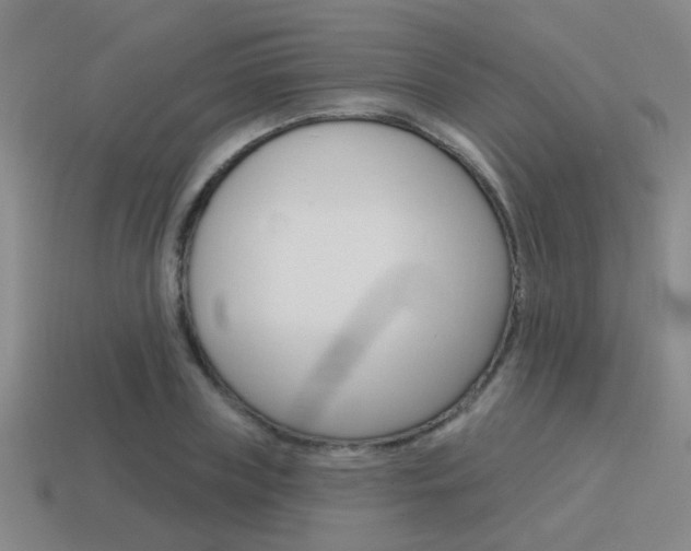 X0000115650835200911101115