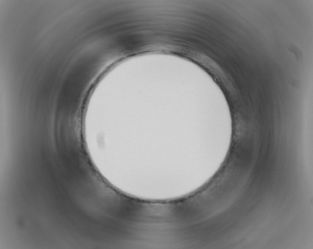 X0000115650836200911101115