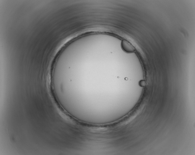 X0000115650837200911101115