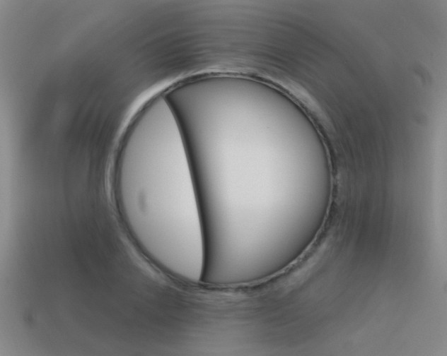 X0000115650838200911101115