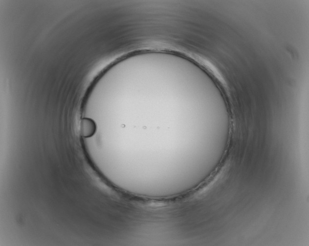 X0000115650839200911101115