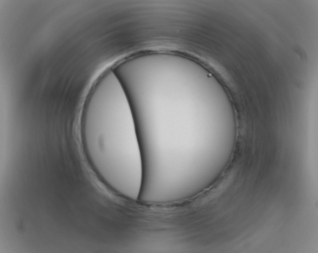 X0000115650840200911101115