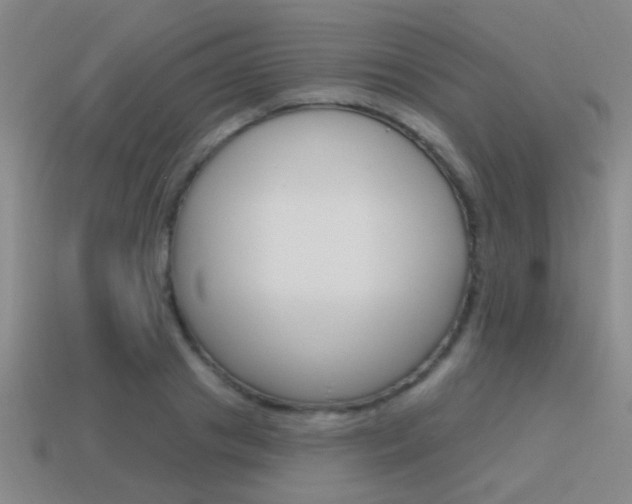X0000115650841200911101115