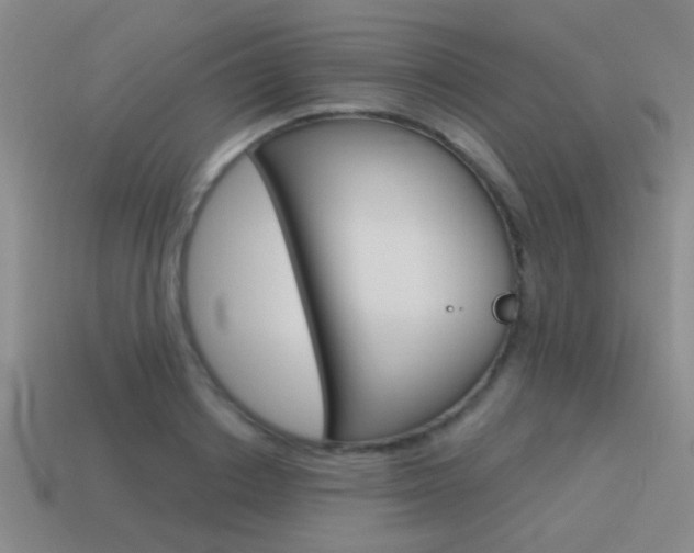 X0000115650842200911101115