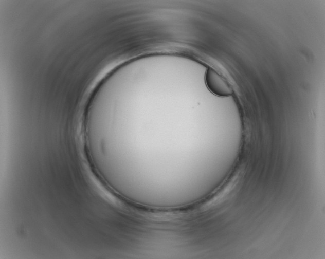 X0000115650843200911101115