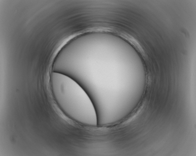 X0000115650844200911101115