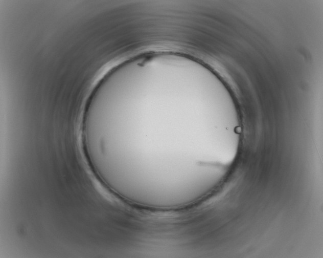 X0000115650845200911101115