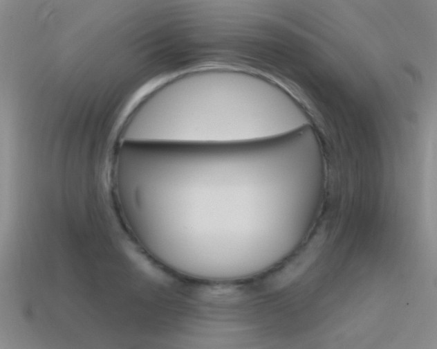 X0000115650846200911101115