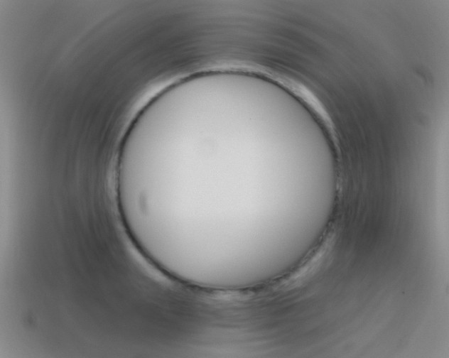 X0000115650847200911101115
