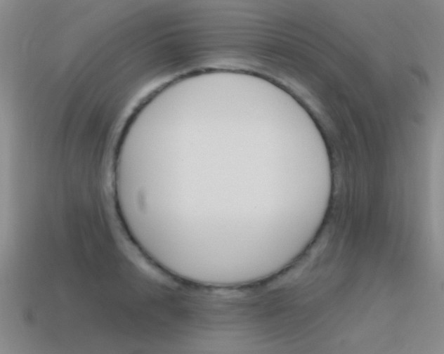 X0000115650848200911101115