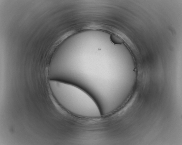 X0000115650849200911101115