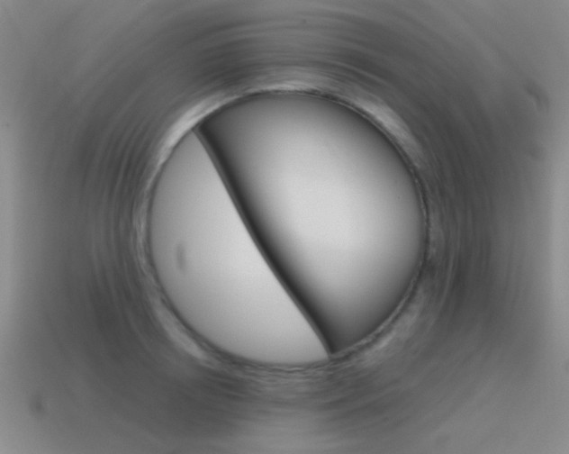X0000115650850200911101115