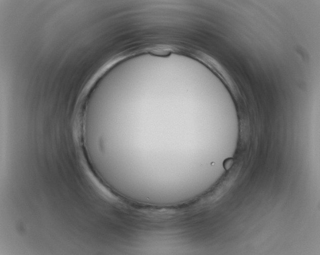 X0000115650851200911101115