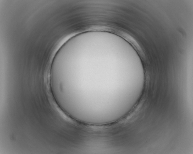 X0000115650852200911101115