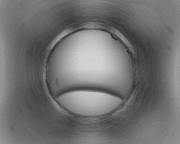 X0000115650853200911101115